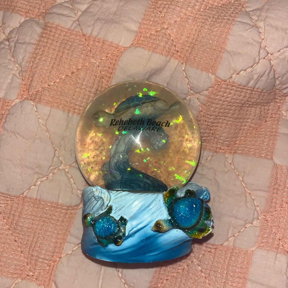 Turtle snow globe